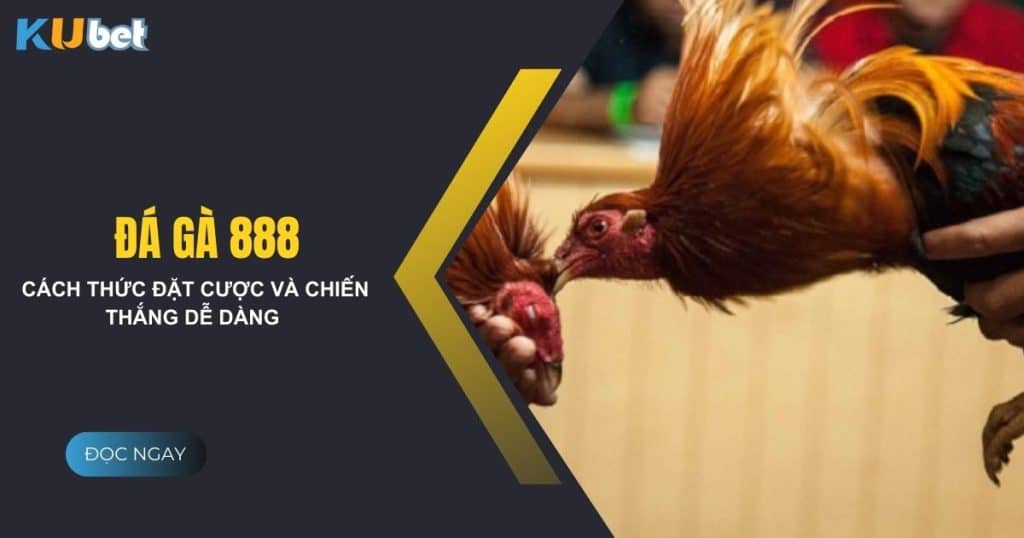 Đá gà 888 tại Kubet - Cách thức đặt cược và chiến thắng dễ dàng